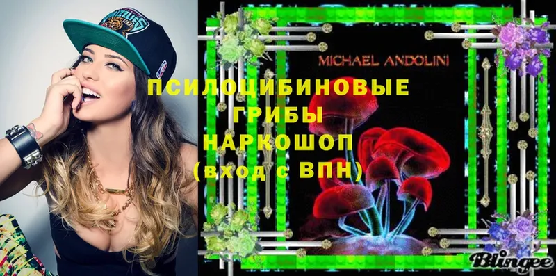 Галлюциногенные грибы Psilocybe  где можно купить   Гвардейск 